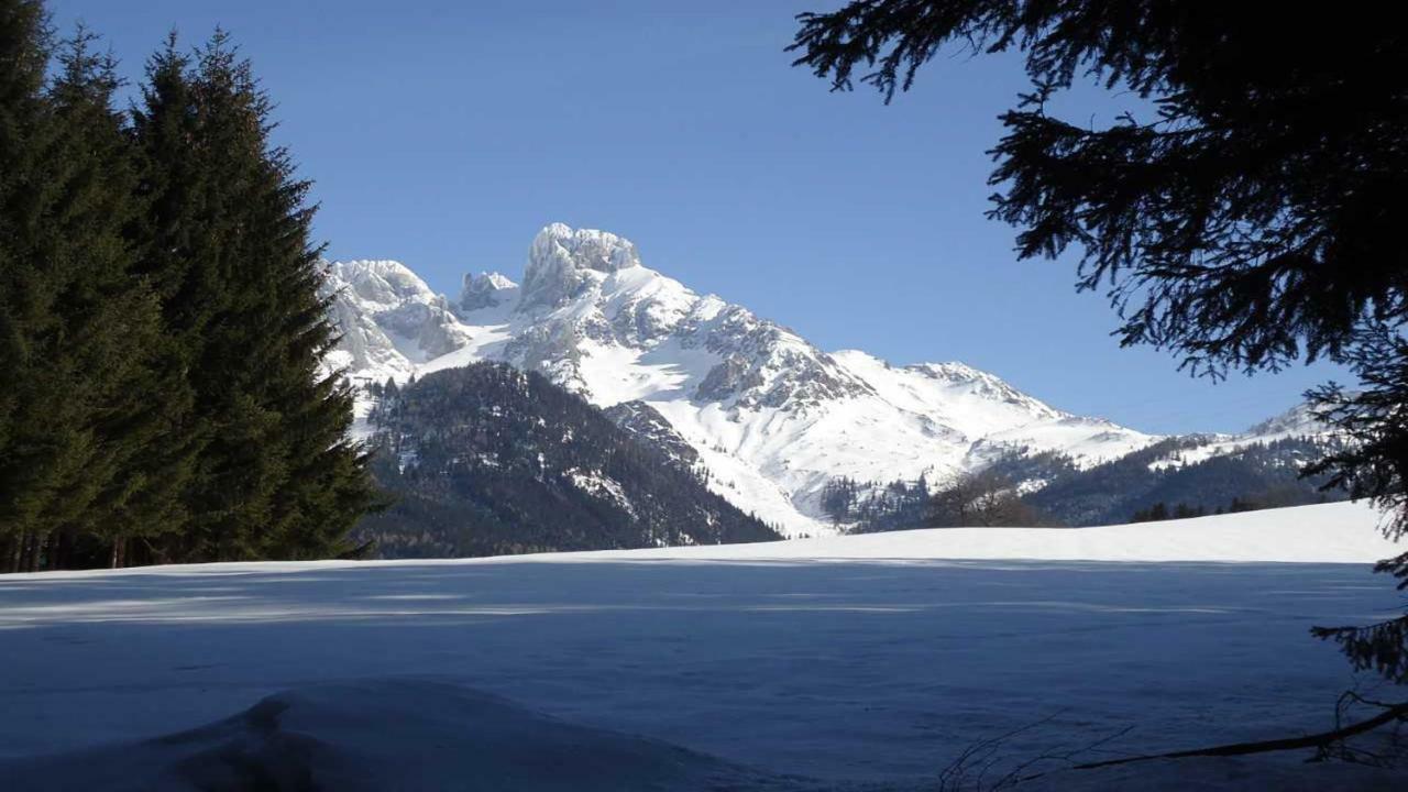 Berg Chalet Annaberg im Lammertal Exterior photo